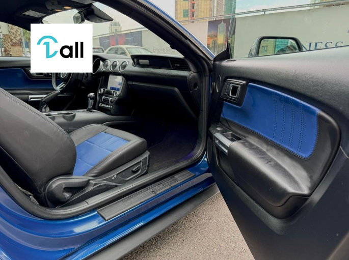 Car Detail Image