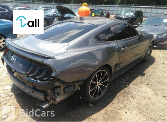 Car Detail Image