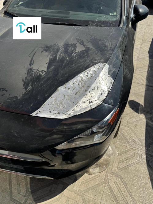 Car Detail Image