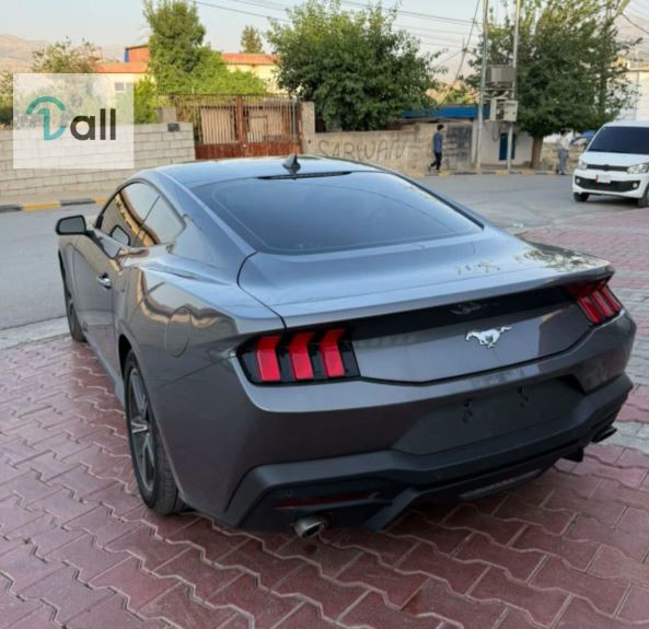 Car Detail Image